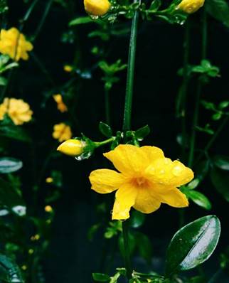 第五届社团文化艺术节“美丽校园”主题摄影比赛圆满结束——第五届社团文化艺术节系列报道（三）