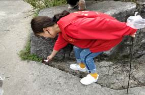 Cache_66f212f058f88b60.