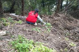 Cache_-78cda61c2024856d.